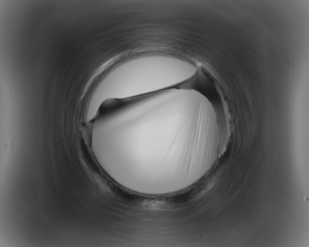 X0000083030440200703022030