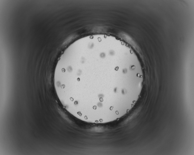 X0000083030441200703022030