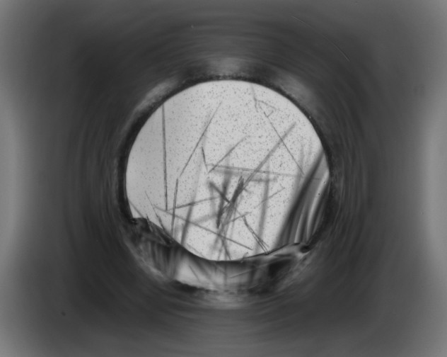 X0000083030442200703022030