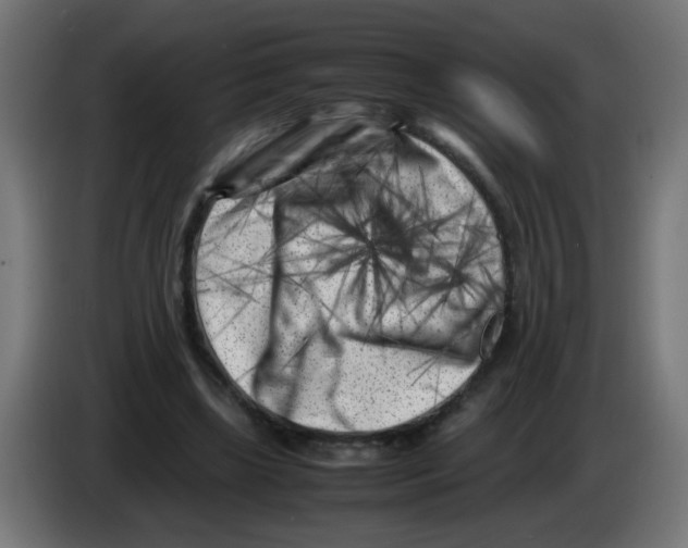 X0000083030443200703022030