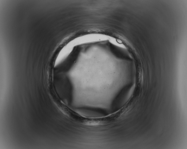 X0000083030444200703022030