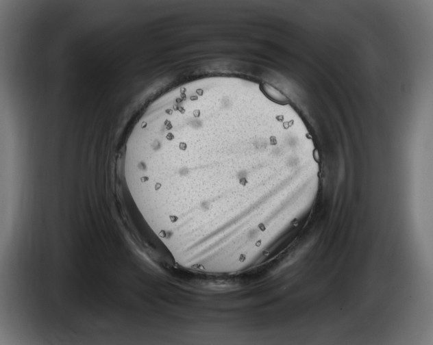 X0000083030445200703022030