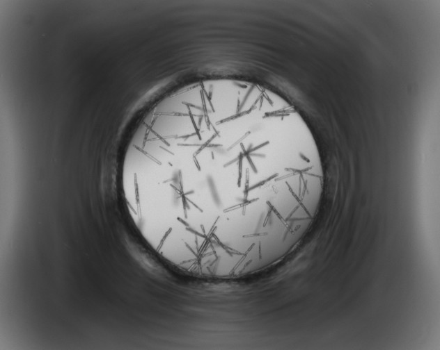 X0000083030446200703022030