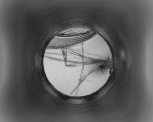 X0000083030449200703022030