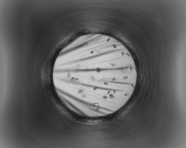 X0000083030450200703022030