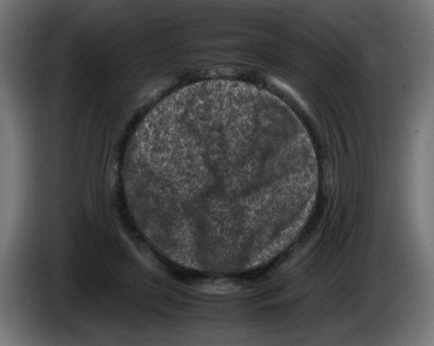 X0000083030451200703022030