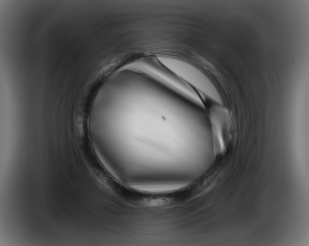 X0000083030452200703022030