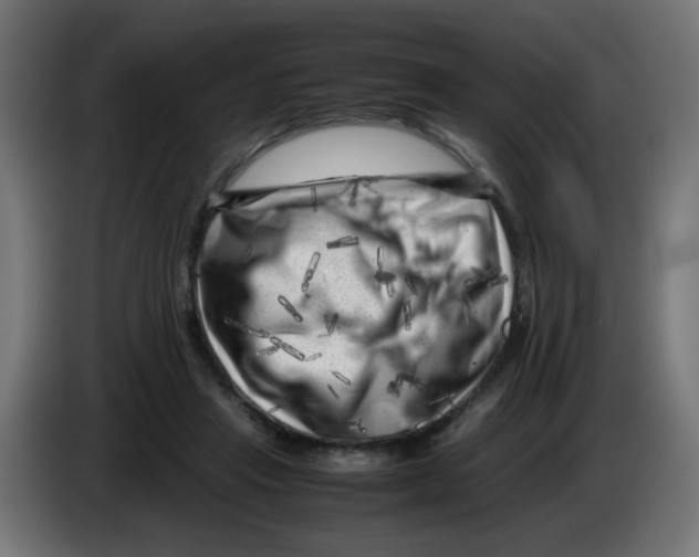 X0000083030453200703022030