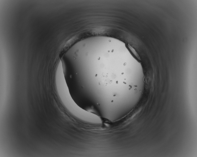 X0000083030454200703022030