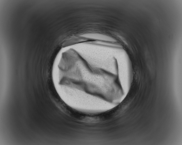 X0000083030455200703022030