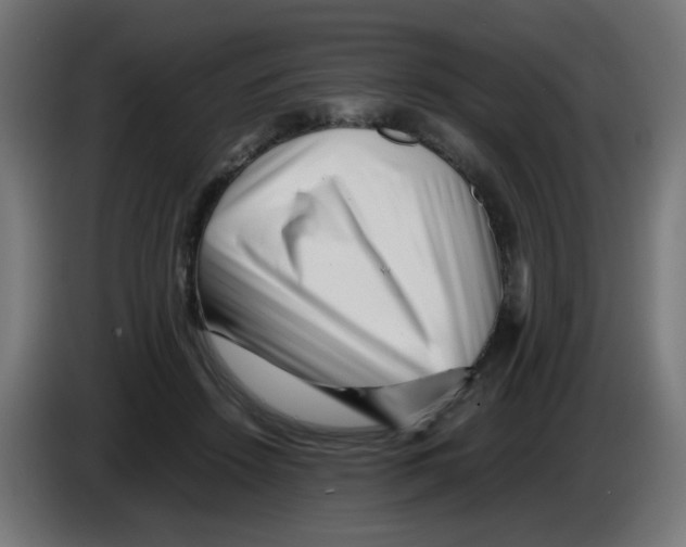 X0000083030456200703022030