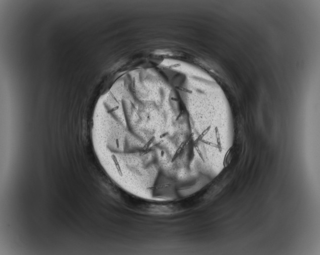 X0000083030457200703022030