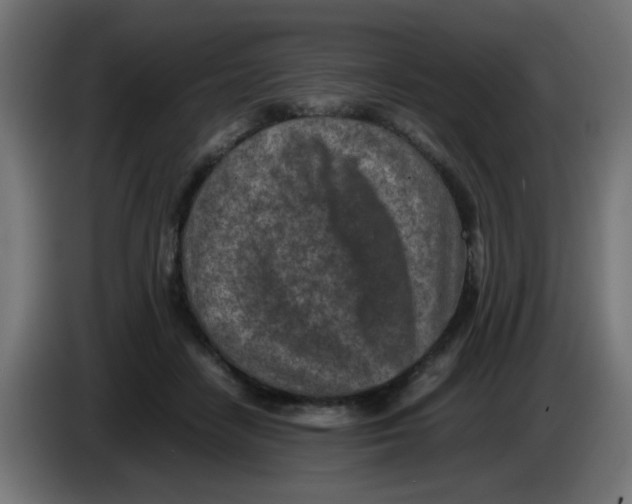 X0000083030458200703022030