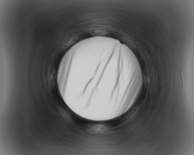 X0000083030460200703022030