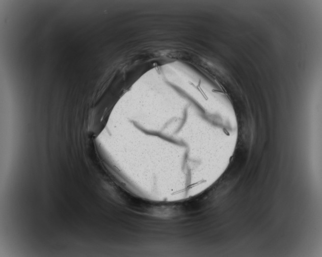 X0000083030461200703022030