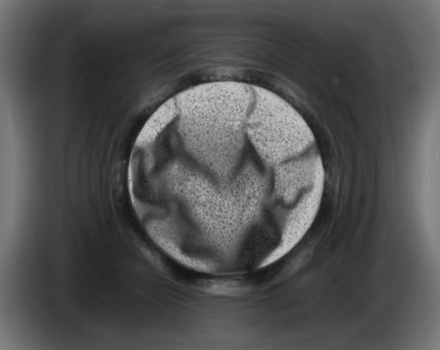 X0000083030462200703022030