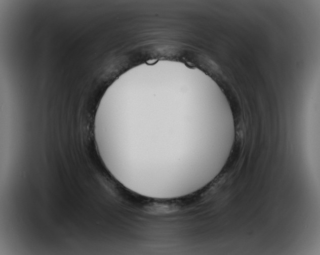 X0000083030464200703022030