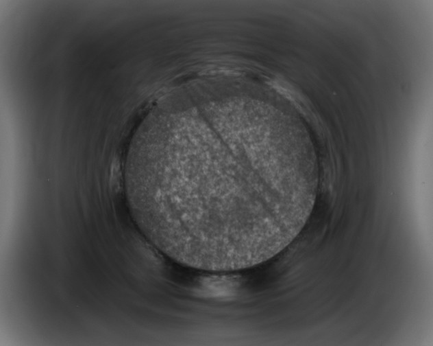 X0000083030465200703022030