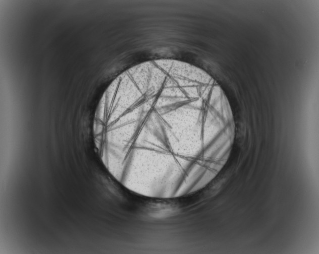 X0000083030466200703022030