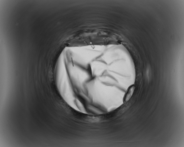 X0000083030469200703022030