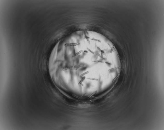 X0000083030470200703022030