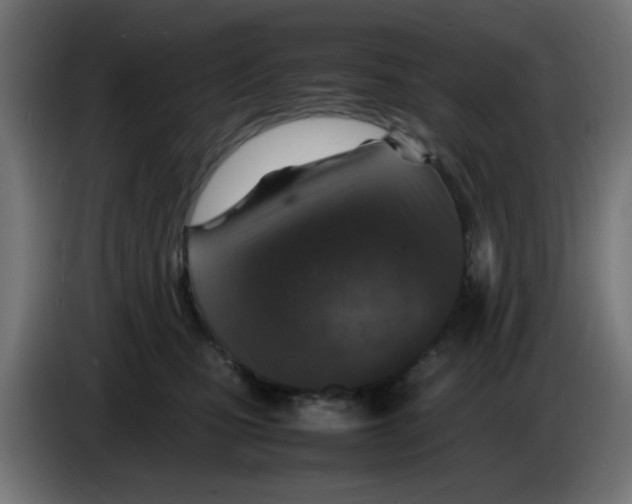 X0000083030471200703022030