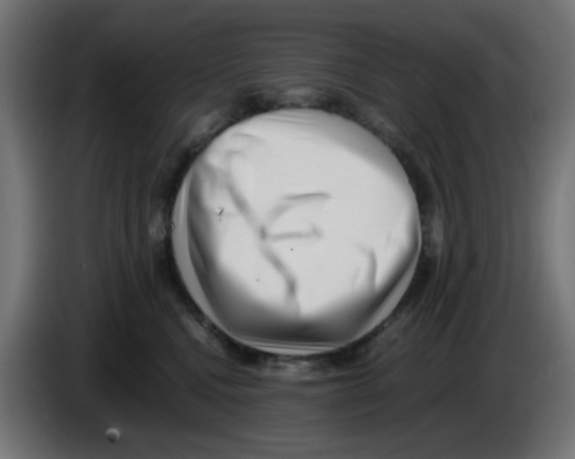 X0000083030472200703022030