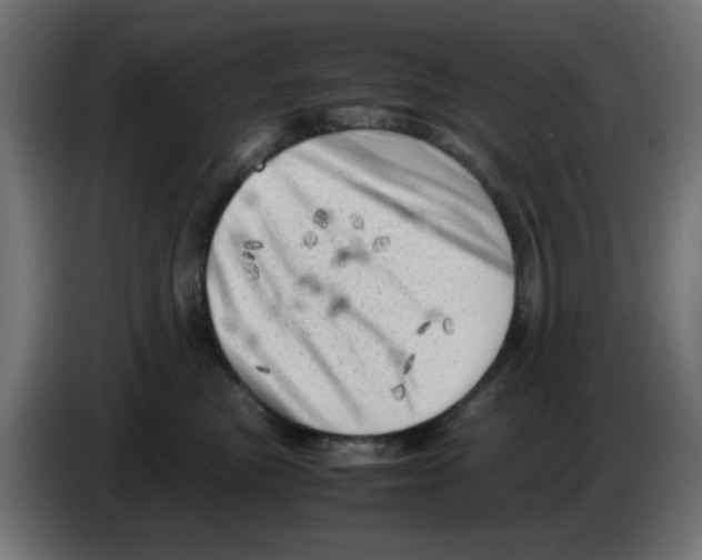 X0000083030473200703022030