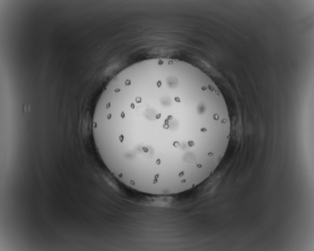 X0000083030474200703022030