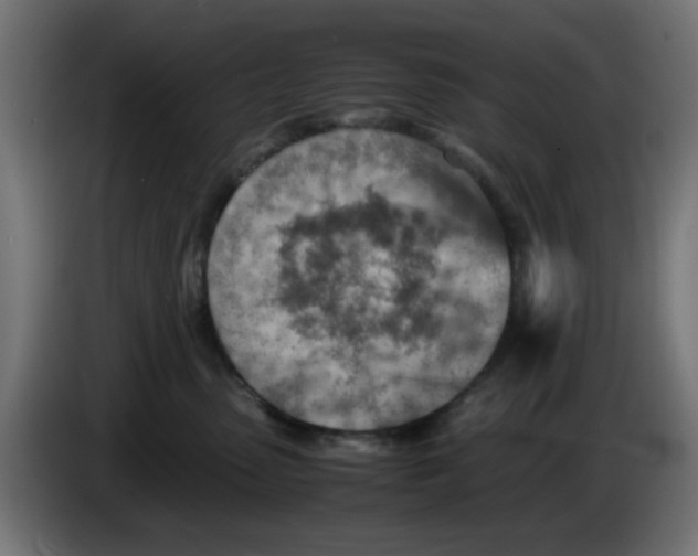 X0000083030475200703022030