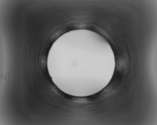 X0000083030476200703022030