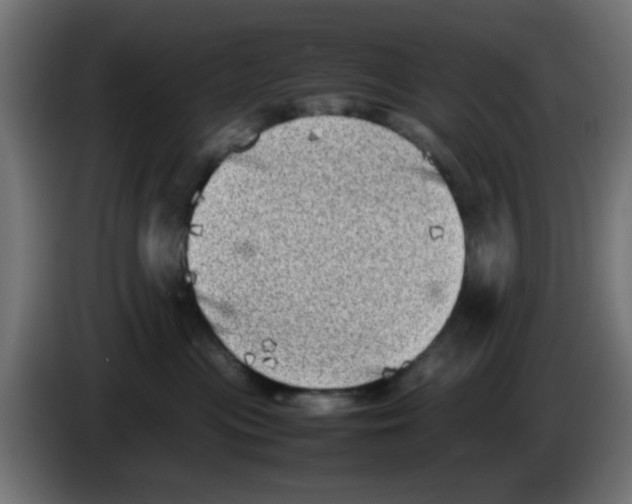 X0000083030477200703022030