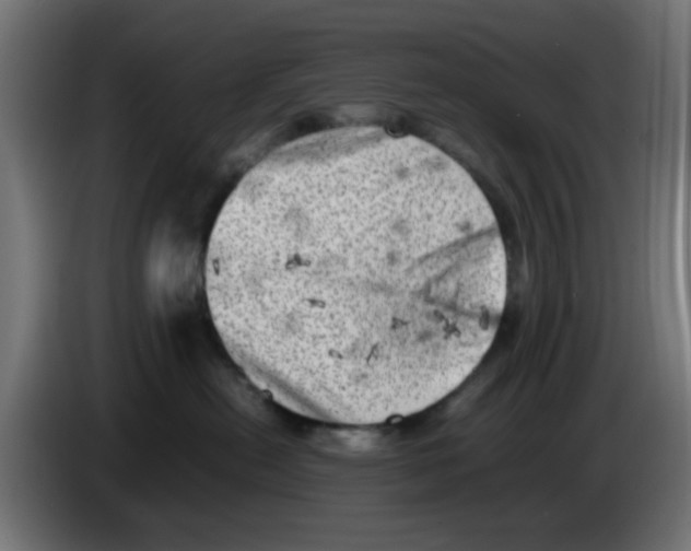 X0000083030478200703022030