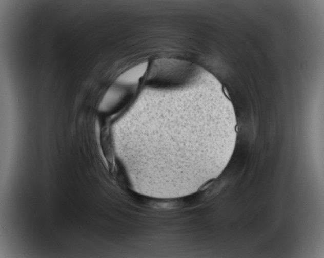 X0000083030479200703022030