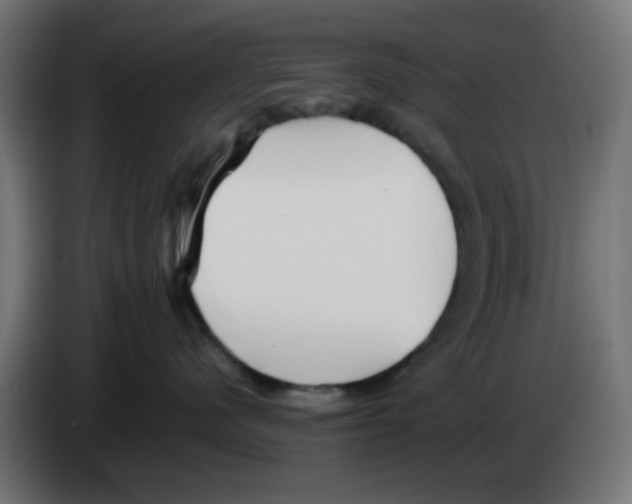 X0000083030480200703022030