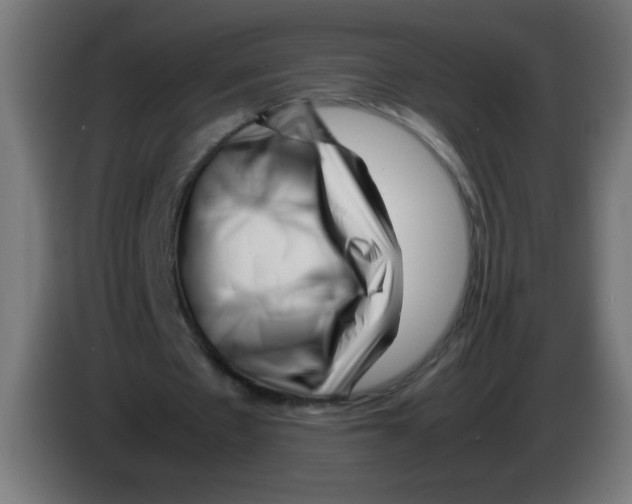 X0000083030481200703022029