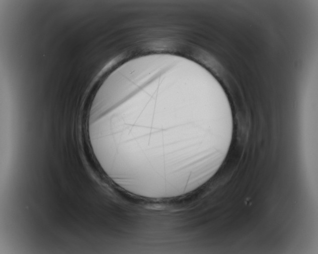 X0000083030482200703022029