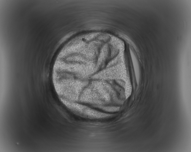 X0000083030483200703022029