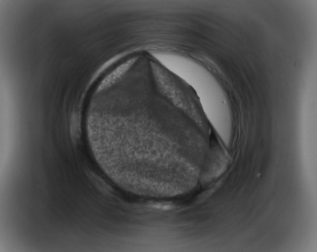 X0000083030484200703022029