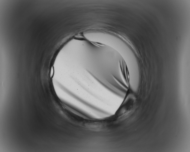 X0000083030485200703022029