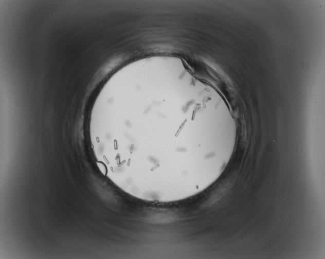 X0000083030486200703022029