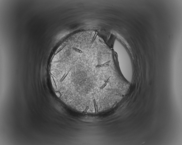 X0000083030487200703022029