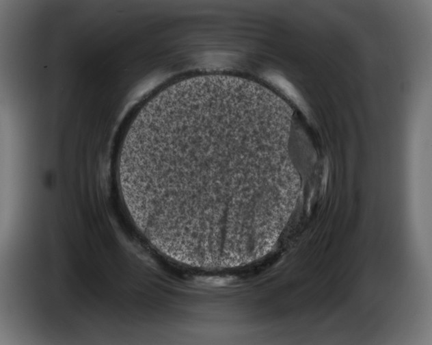 X0000083030488200703022029