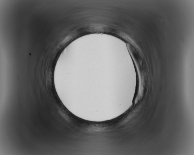 X0000083030489200703022029