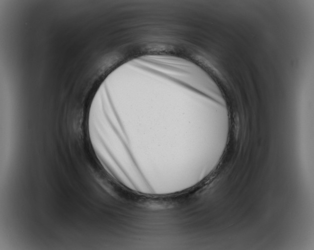 X0000083030490200703022029