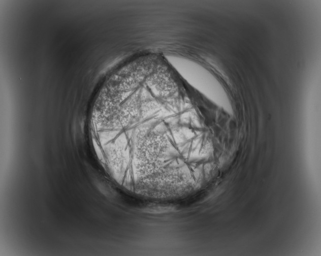 X0000083030491200703022029