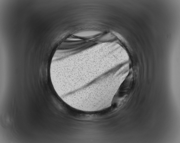 X0000083030493200703022029