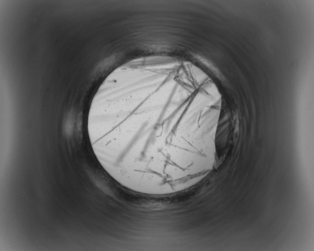 X0000083030494200703022029