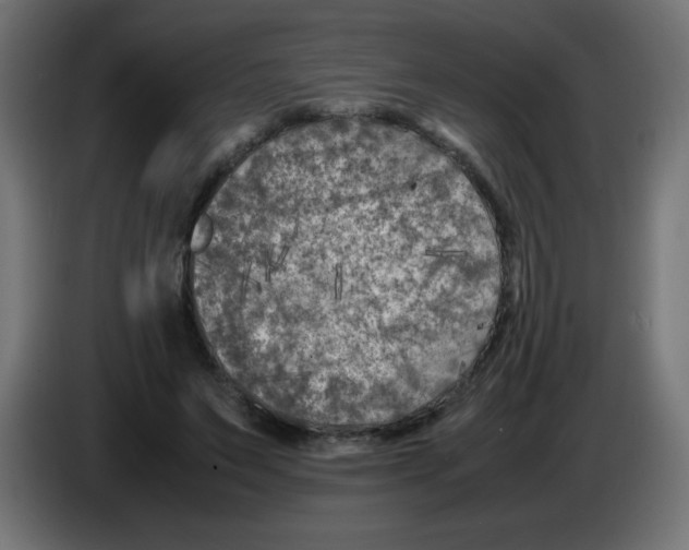 X0000083030495200703022029