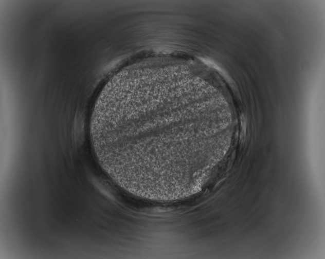 X0000083030496200703022029